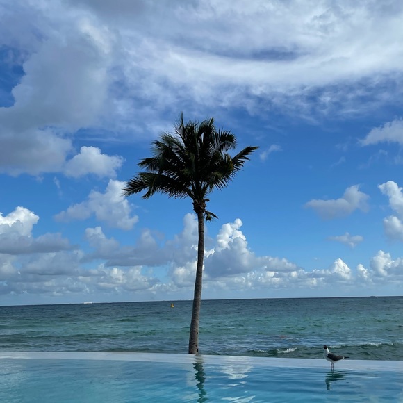 Meet your Posher, G - Picture 1 of 1